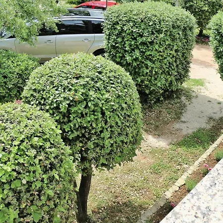 In Near Jadro *