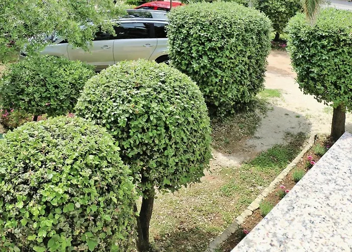 In Near Jadro *